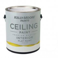Ceiling Paint